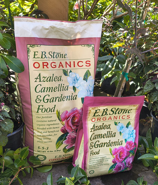 camellia and azalea potting mix Azalea, Camellia, & Gardenia Food 5-5-3 – Westbrae Nursery