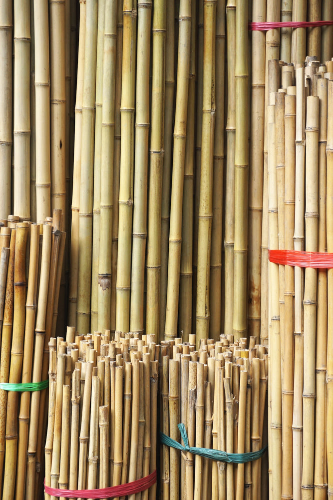 Bamboo Natural Stakes