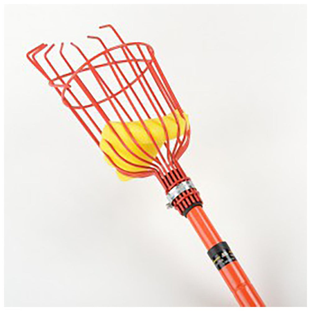 Organic Tool 12" fruit picker w/ telescopic handle