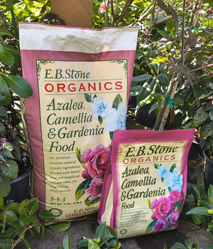 Azalea, Camellia, & Gardenia Food 5-5-3