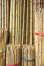 Bamboo Natural Stakes