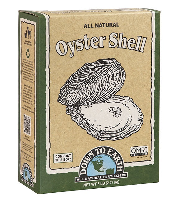 OYSTER SHELL