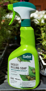 Safer Insect Killing Soap with Seaweed RTU