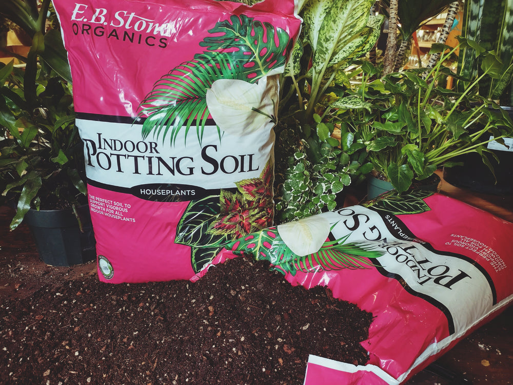 organic indoor potting mix Organic Indoor Potting Soil 12 quarts