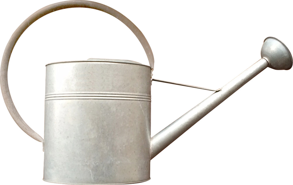 Vintage Galvanized Watering can 3.2G